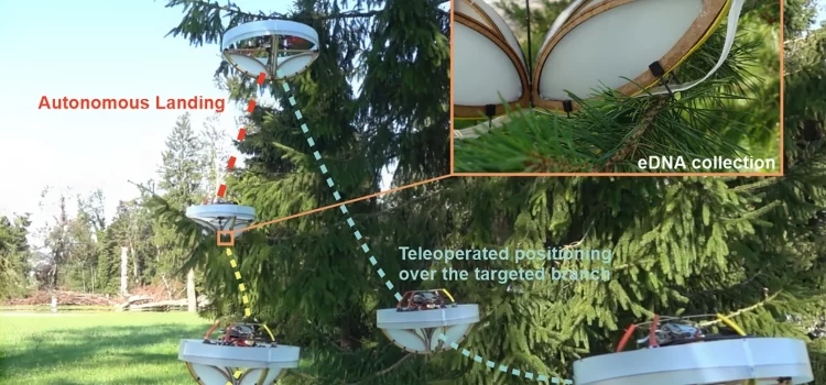 Researchers created a sticky drone to collect environmental DNA from forest canopies