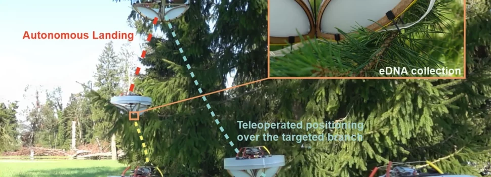 Researchers created a sticky drone to collect environmental DNA from forest canopies