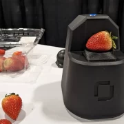 Finally, a fruit scanner that will tell you if your avocados are ripe